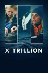 X Trillion